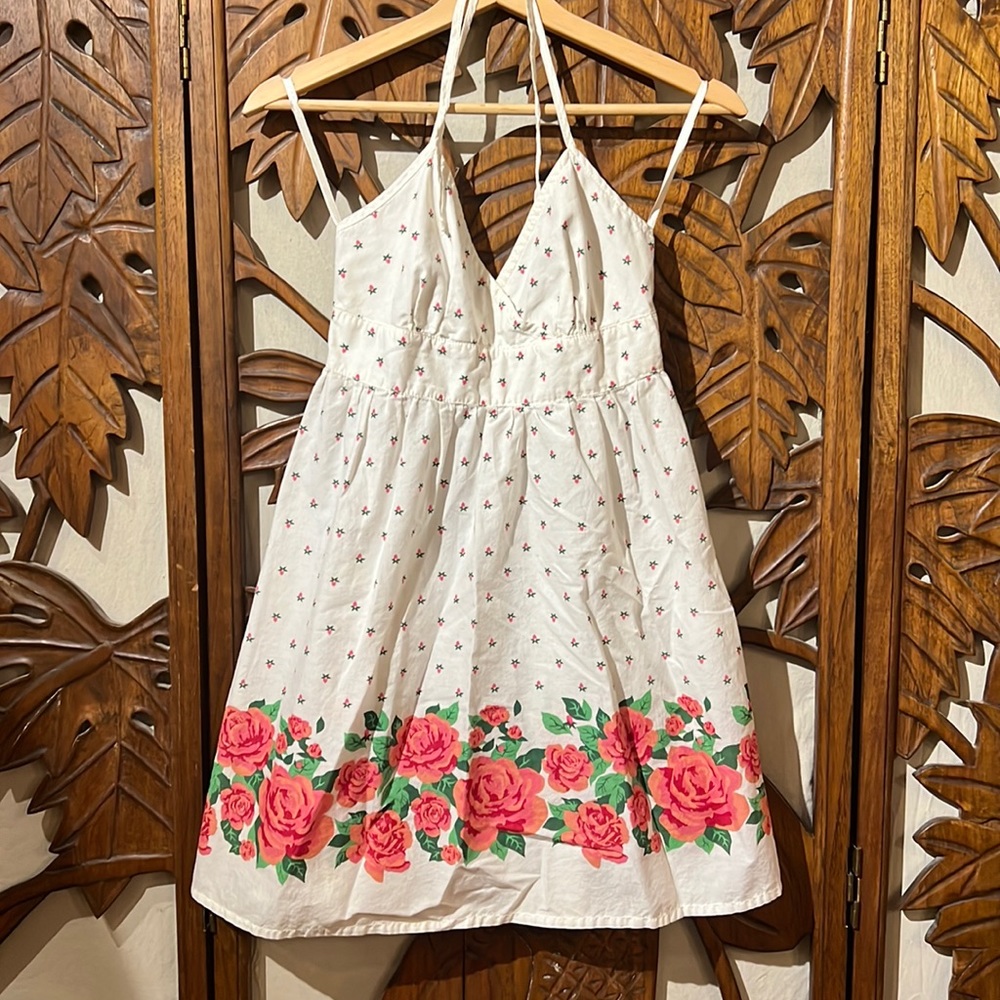 Cute picnic dress